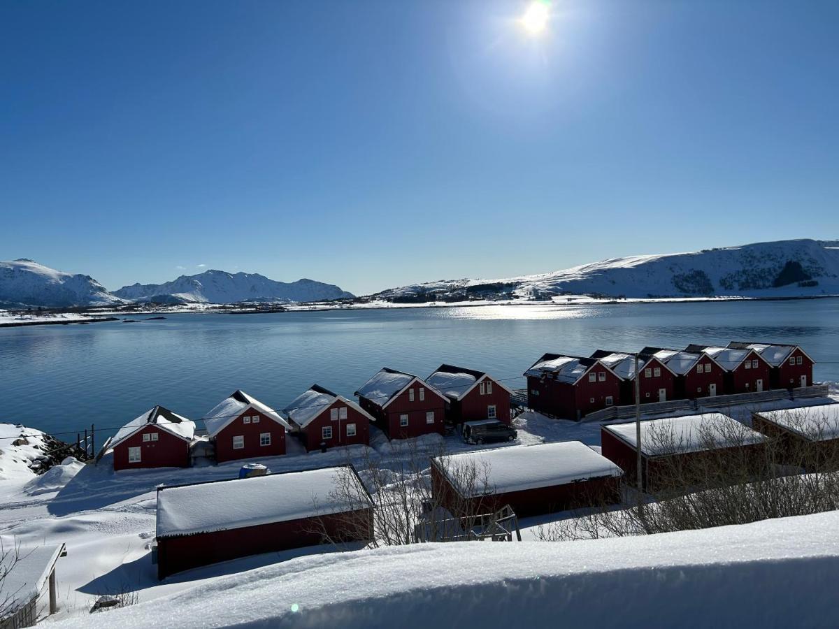Lofotbua Villa Offersoya Buitenkant foto